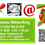 Free Business Networking at the Cool Cricket